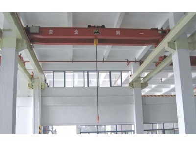 LH electromotive double girder crane 3
